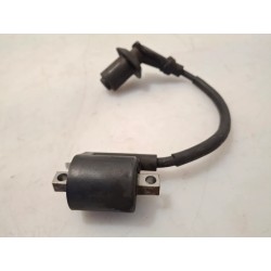 Bobina Malaguti Madison Madison 150 