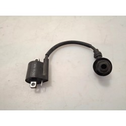 Bobina Malaguti Madison Madison 150 