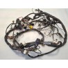 Cablaggio impianto elettrico telaio Piaggio Beverly 500 (E2) Beverly 500 