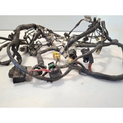 Cablaggio impianto elettrico telaio Piaggio Beverly 500 (E2) Beverly 500 