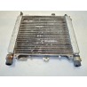 Radiatore Piaggio Beverly 500 (E2) Beverly 500 