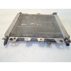 Radiatore Piaggio Beverly 500 (E2) Beverly 500 