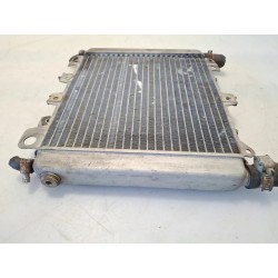 Radiatore Piaggio Beverly 500 (E2) Beverly 500 