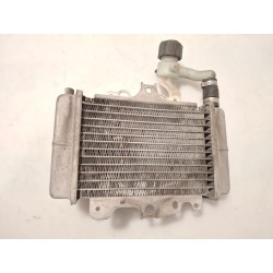 Radiatore Malaguti Centro 125 Centro 125 SL 4T 