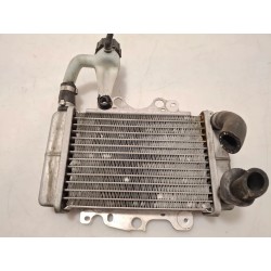 Radiatore Malaguti Centro 125 Centro 125 SL 4T 