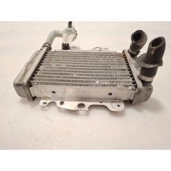 Radiatore Malaguti Centro 125 Centro 125 SL 4T 