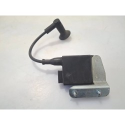 Bobina Piaggio Liberty 50 4T (E2) (03-08) Liberty 50 4T RST 