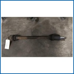 SEMIALBERO POST. DX.