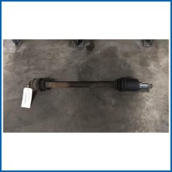 SEMIALBERO POST. DX.