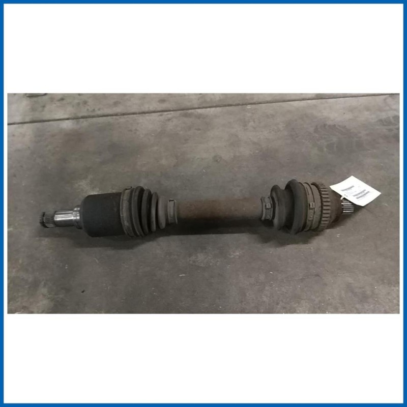 SEMIALBERO POST. SX.