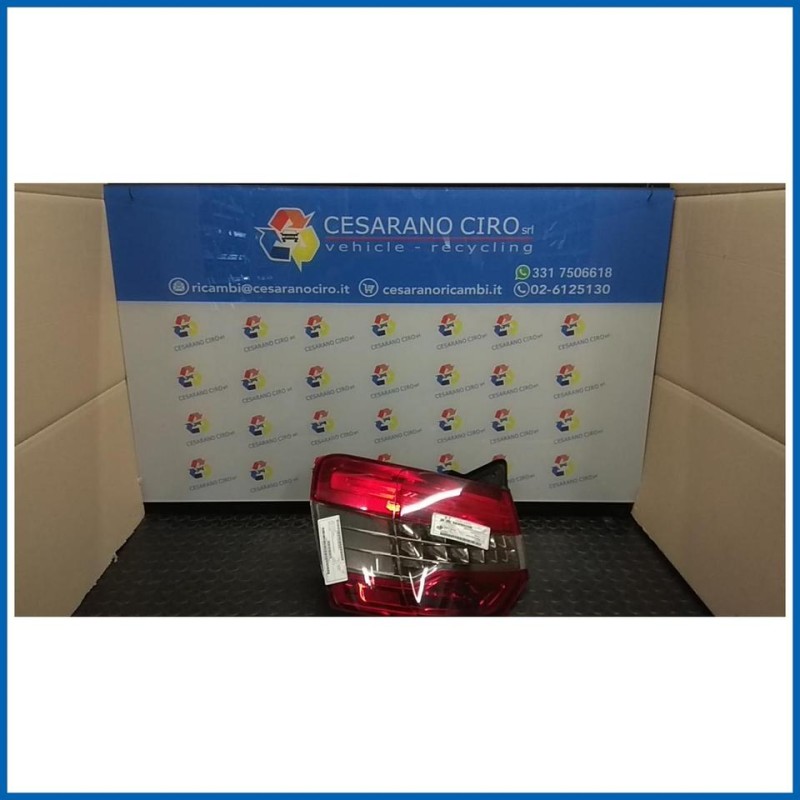 FANALE POST. PARTE EST. SX.