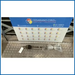 SEMIALBERO ANT. COMPL. DX.