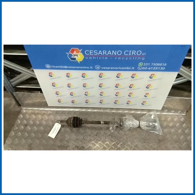 SEMIALBERO ANT. COMPL. DX.