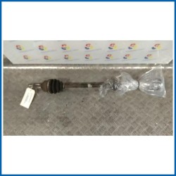 SEMIALBERO ANT. COMPL. DX.