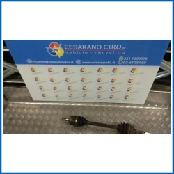 SEMIALBERO ANT. COMPL. SX.