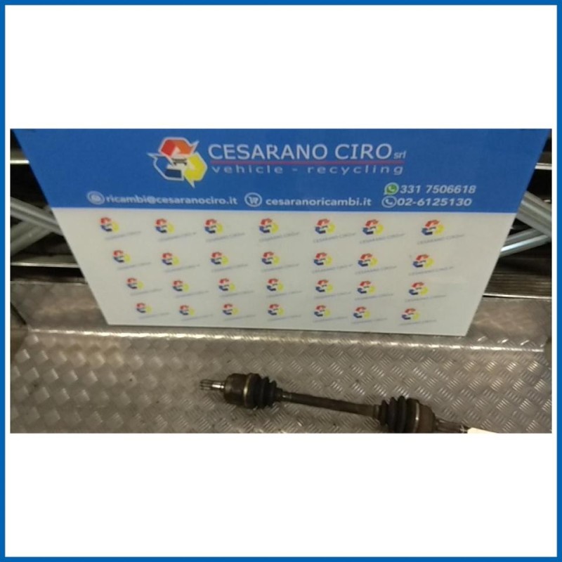 SEMIALBERO ANT. COMPL. SX.