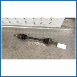 SEMIALBERO ANT. COMPL. SX.