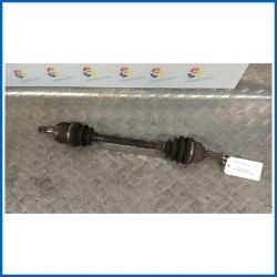 SEMIALBERO ANT. COMPL. SX.