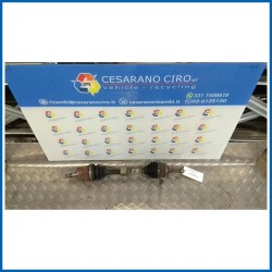 SEMIALBERO ANT. COMPL. SX.