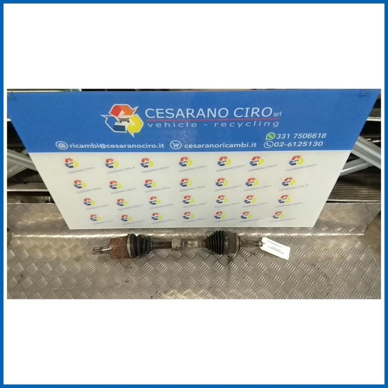 SEMIALBERO ANT. COMPL. SX.