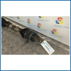 SEMIALBERO ANT. COMPL. SX.