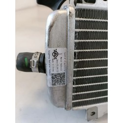 Radiatore Piaggio Vespa 300 GTS hpe (E5) Vespa 300 GTS hpe Super ABS Sinistro