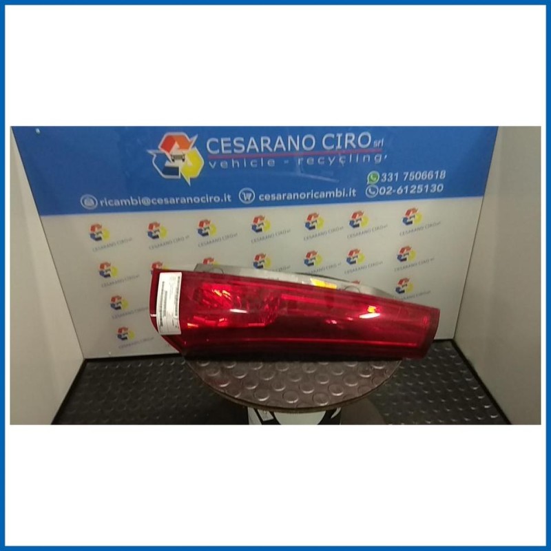 FANALE POST. PARTE SUP. DX.