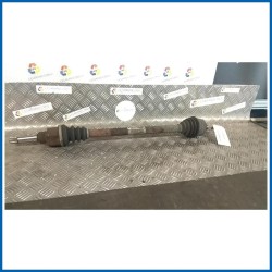 SEMIALBERO ANT. COMPL. DX.