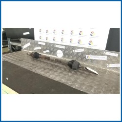 SEMIALBERO ANT. COMPL. DX.