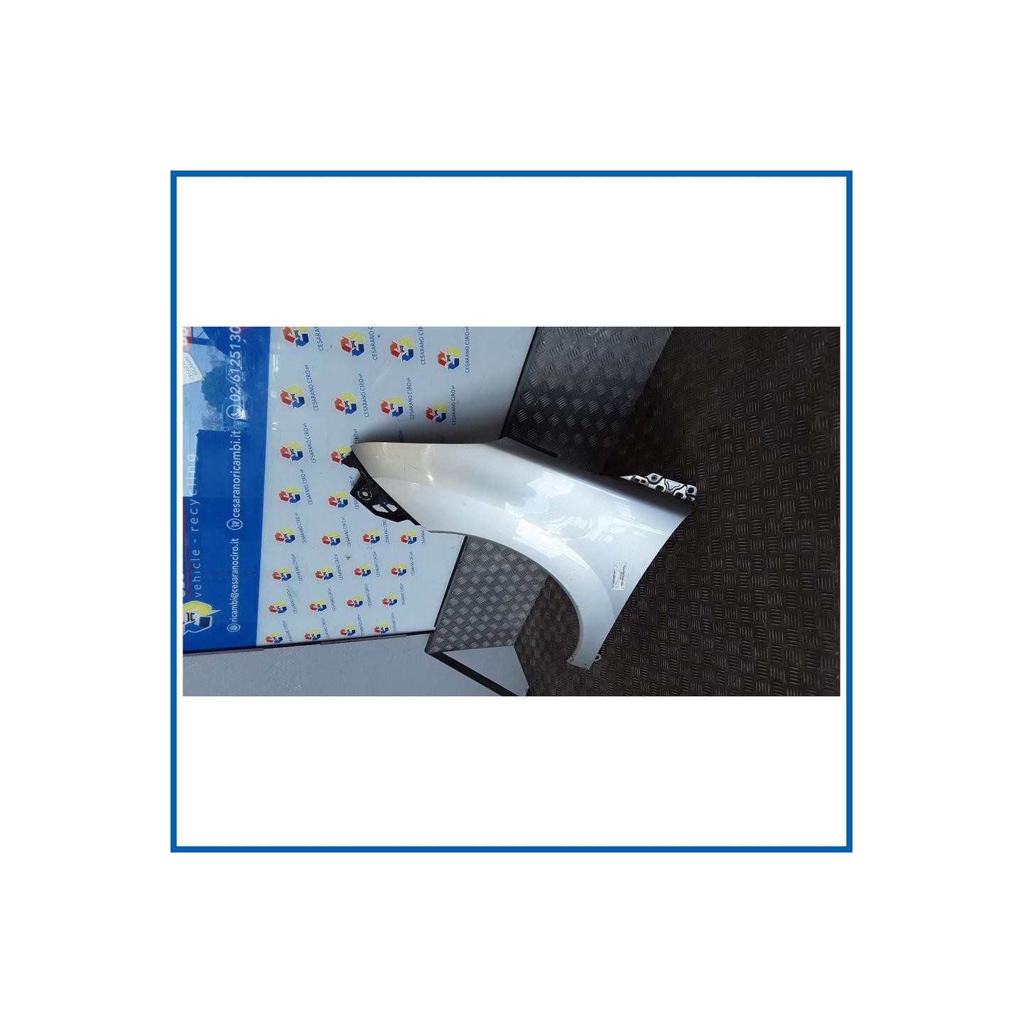 PARAFANGO ANT. SX. PEUGEOT 3008 (04/09>10/13