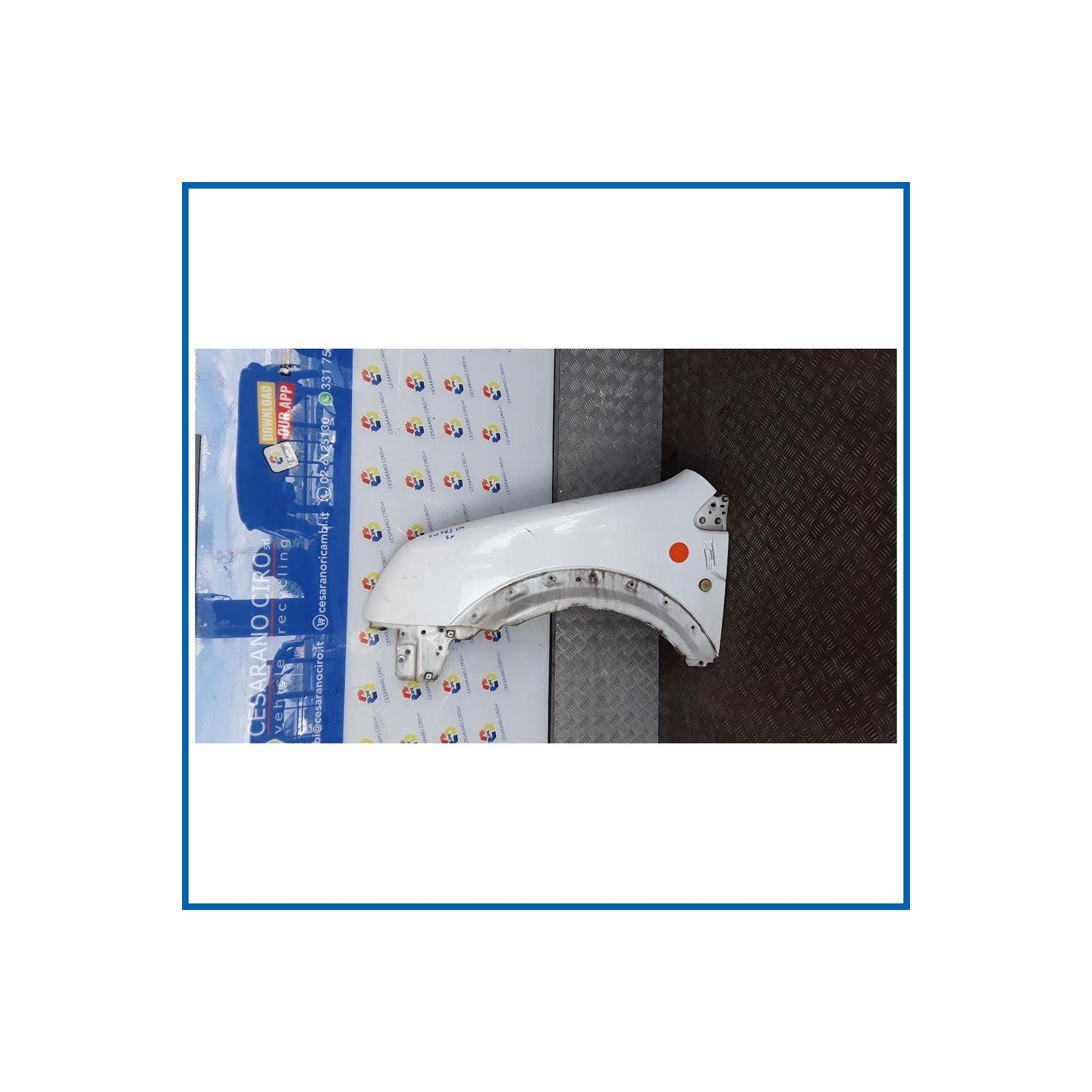 PARAFANGO ANT. SX. FORD TRANSIT CONNECT (TC7) (12/02>)