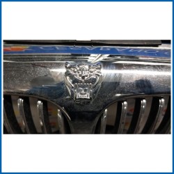 GRIGLIA JAGUAR X-TYPE (02/01>05/10