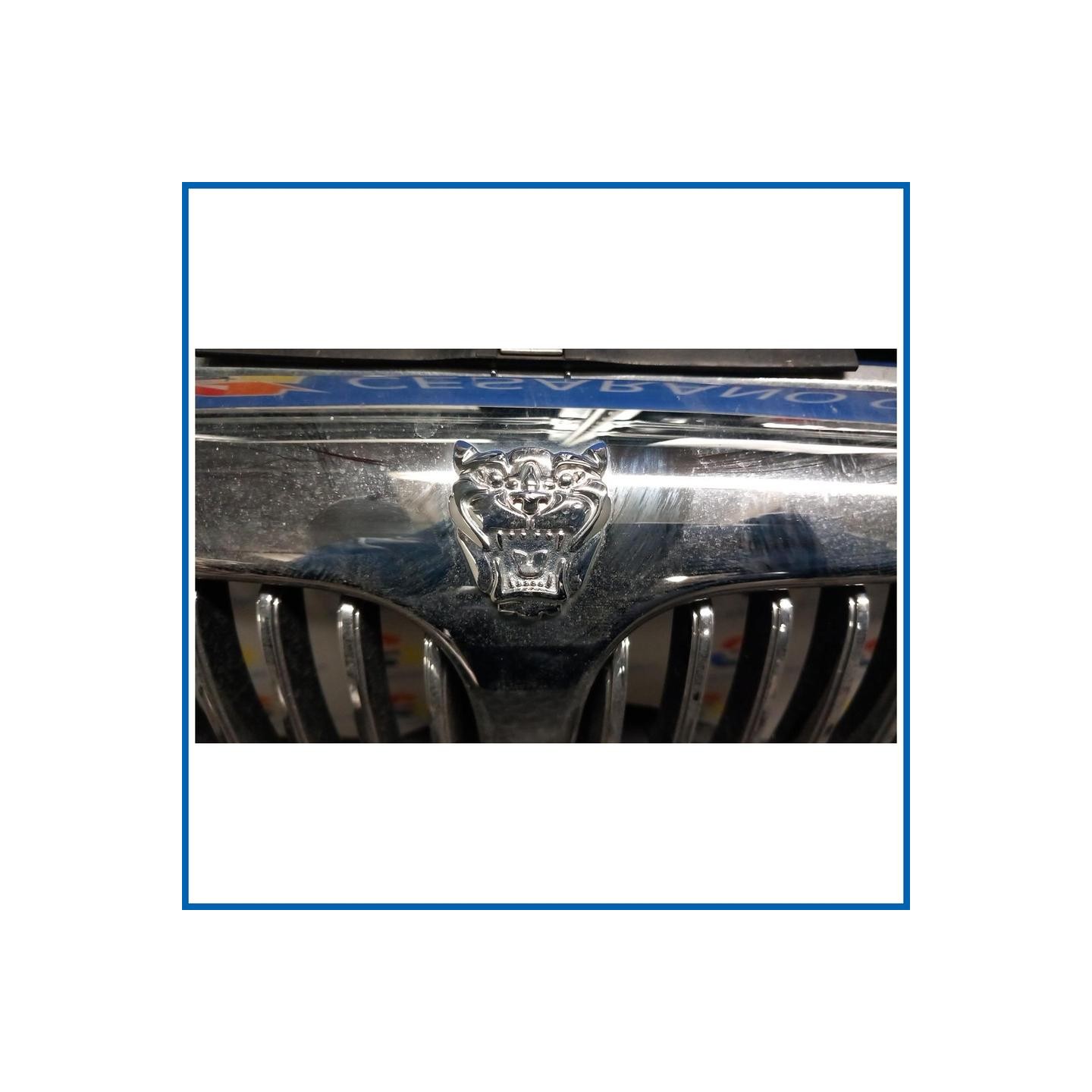 GRIGLIA JAGUAR X-TYPE (02/01>05/10