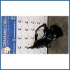 PARAFANGO ANT. DX. SMART SMART COUPE' (C450) (07/98>01/04