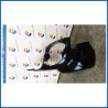 PARAFANGO ANT. DX. SMART SMART COUPE' (C450) (07/98>01/04