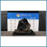 MONTANTE SOSP. ANT. DX. SMART SMART COUPE' (C450) (07/98>01/04