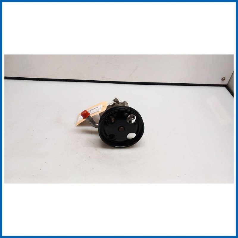 POMPA SERVOSTERZO C/PULEGGIA FORD FUSION (CBK) (09/02>)