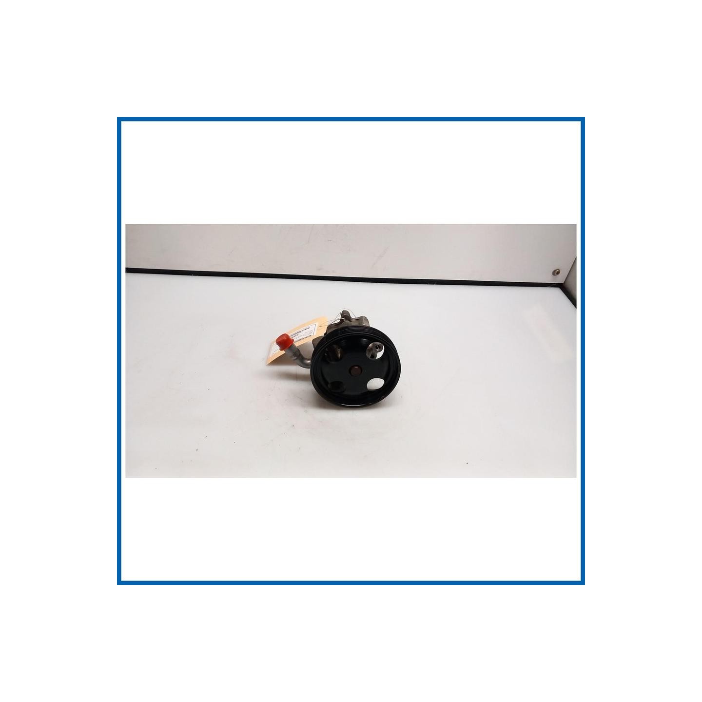 POMPA SERVOSTERZO C/PULEGGIA FORD FUSION (CBK) (09/02>)