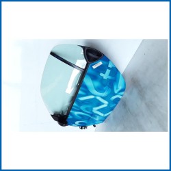 PANNELLO EST. PORTA ANT. SX. SMART SMART COUPE' (C450) (07/98>01/04