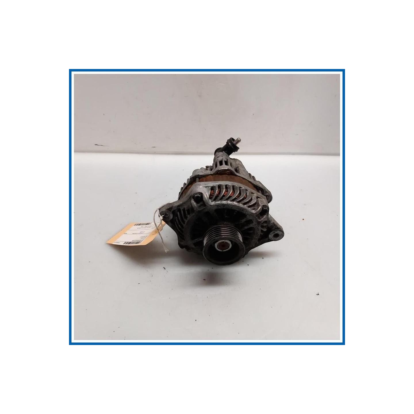 Alternatore 
 
    