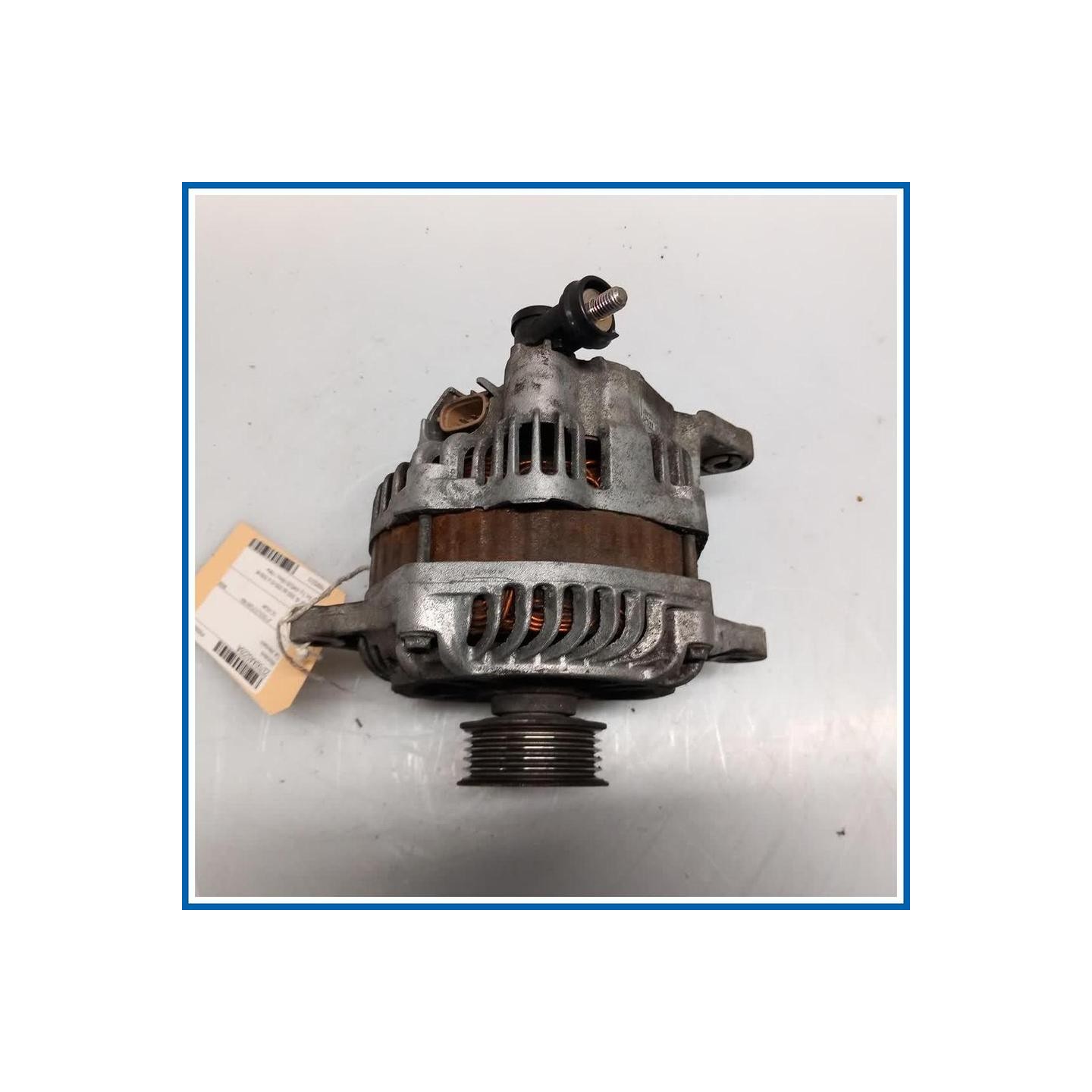 Alternatore 
 
    
