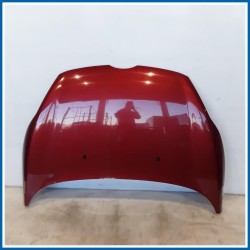 Cofano Hood Assy - Less Hinges 
 
ant. FORD Fiesta VI