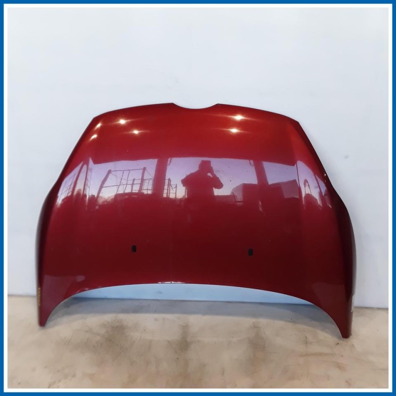 Cofano Hood Assy - Less Hinges 
 
ant. FORD Fiesta VI