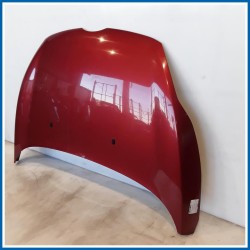 Cofano Hood Assy - Less Hinges 
 
ant. FORD Fiesta VI