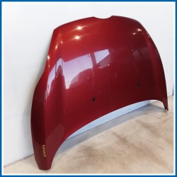 Cofano Hood Assy - Less Hinges 
 
ant. FORD Fiesta VI