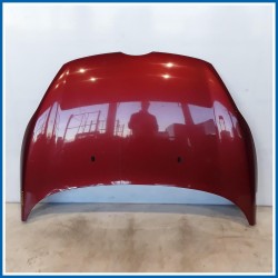 Cofano Hood Assy - Less Hinges 
 
ant. FORD Fiesta VI