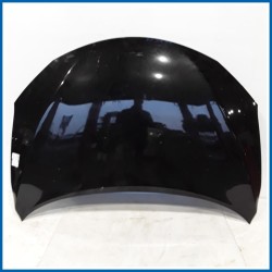 Cofano 
 
ant. NISSAN Pulsar