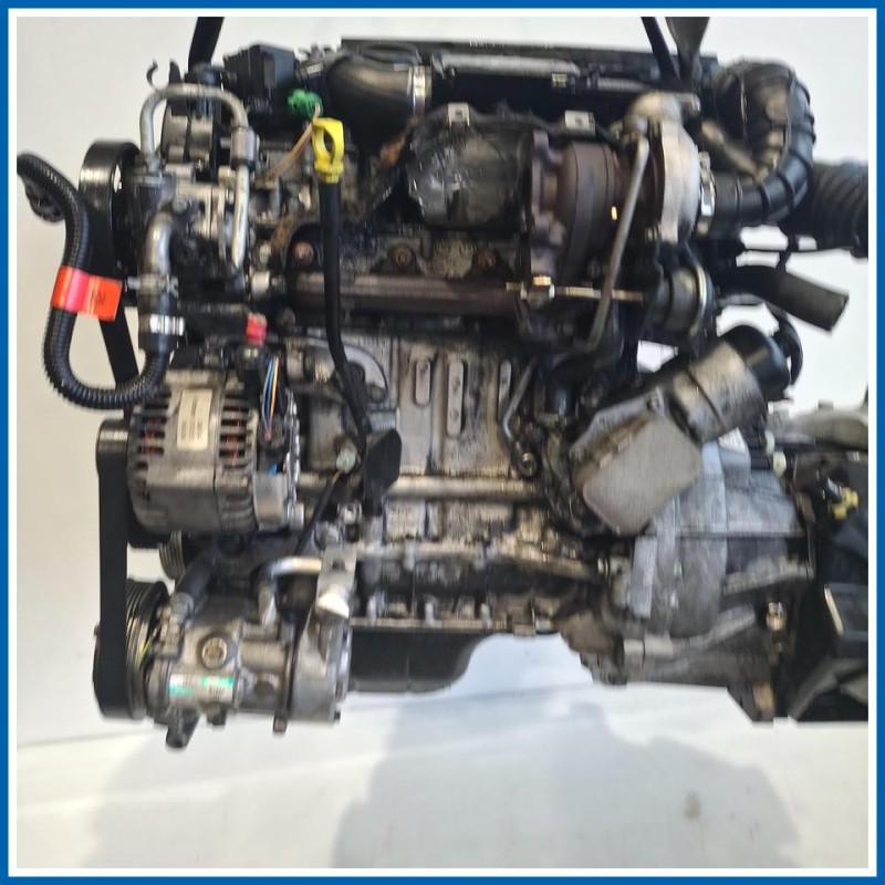 Motore semicompleto SERVICE ENGINE ASSY 
f6jb 
 FORD Fiesta V