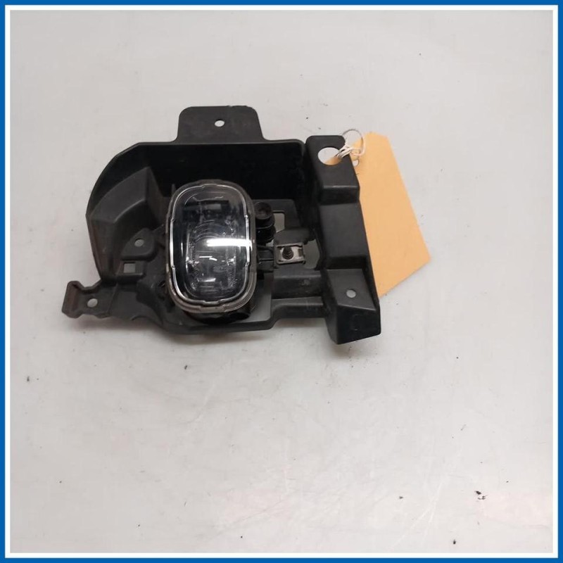 Fendinebbia FENDI NEBBIA 
dx. 
ant. RENAULT Trafic IV