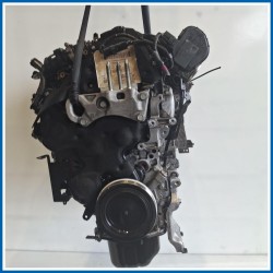 Motore semicompleto SERVICE ENGINE ASSY tzja e238.mot.ok
 
 FORD Fiesta VI